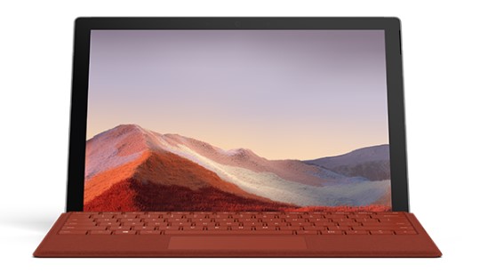 镇远清洁和维护 Surface
